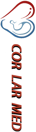 logo-cor-lar-med-rotate.png